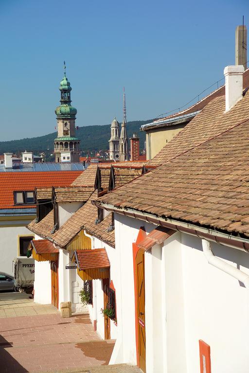 Vinosseum Bor- Es Apartmanhaz Шопрон Экстерьер фото